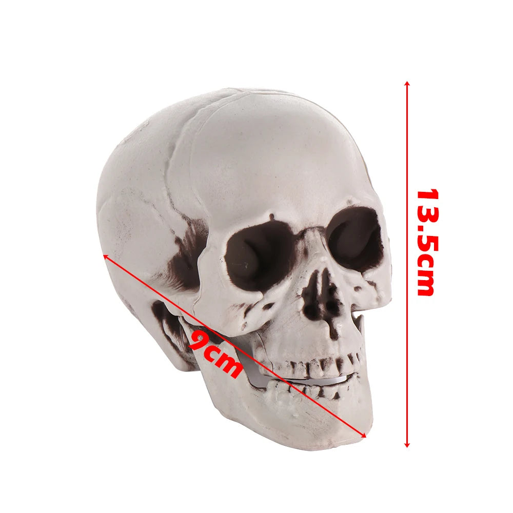 All Size Human Skull Head Skeleton Hanging Skull Halloween Style Photo Prop Home Event Party Decoration Game Supplies