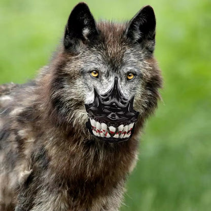 Halloween Dog Muzzle with Teeth Creepy Dog Costume with Large Teeth Spooky Prop for Halloween Adjustable Hilarious Werewolf