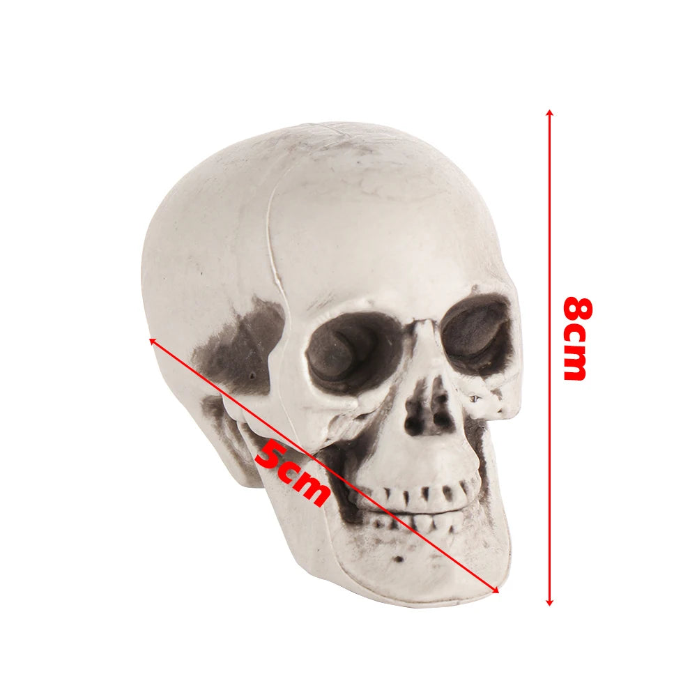 All Size Human Skull Head Skeleton Hanging Skull Halloween Style Photo Prop Home Event Party Decoration Game Supplies